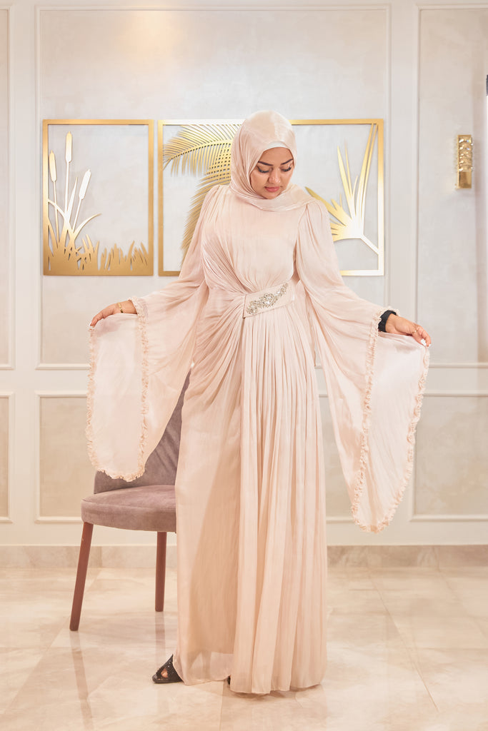Abiha Organza Dress