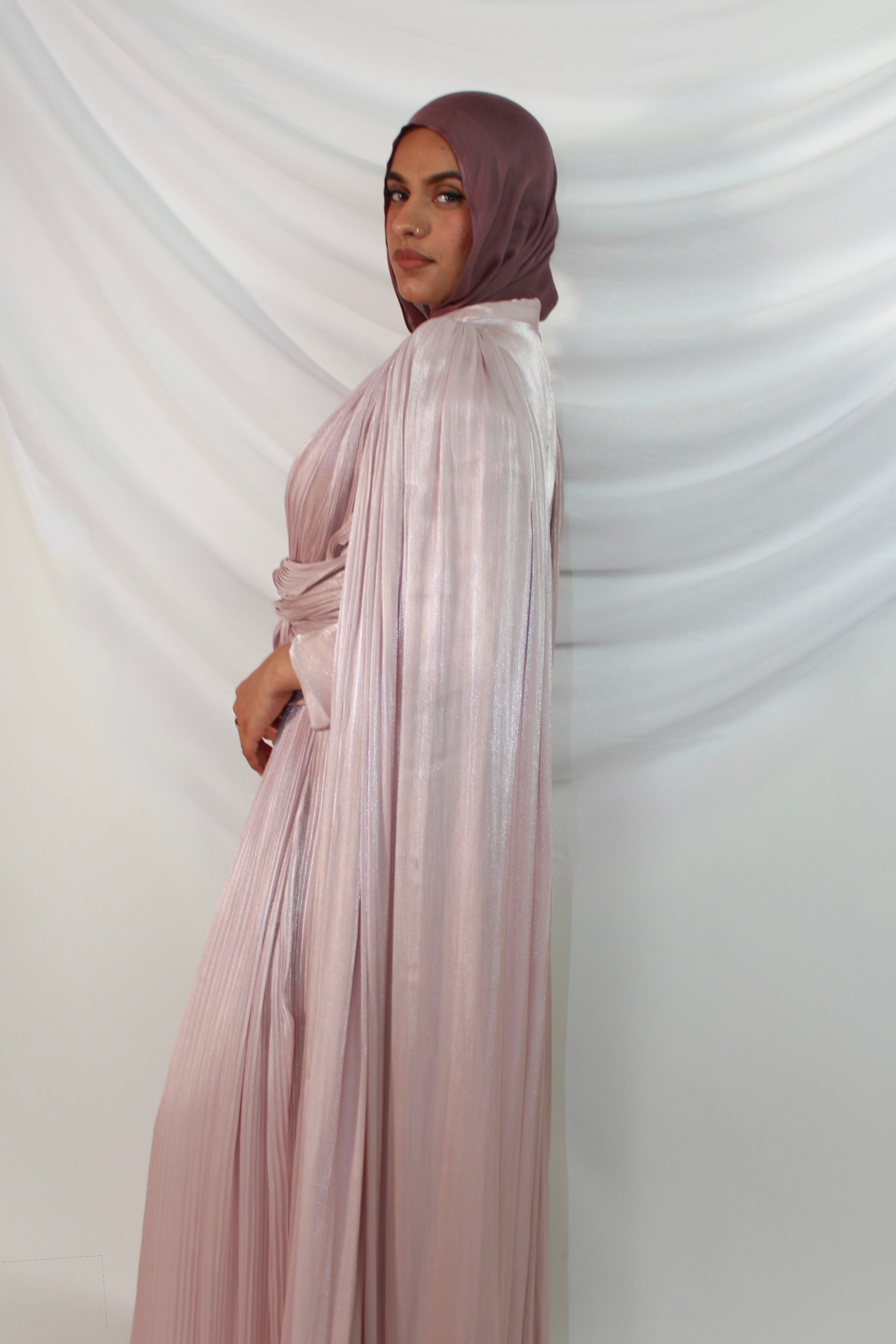 Saima Organza Dress